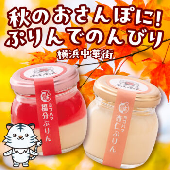 秋のおさんぽに！ぷりんでのんびり