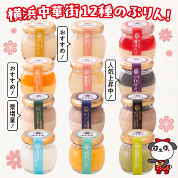 横浜中華街12種のぷりん！