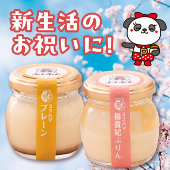 新生活のお祝いに!