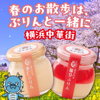 春のお散歩は、ぷりんと一緒に