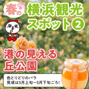 【春の横浜観光スポット②】港の見える丘公園